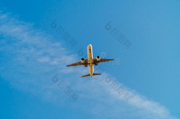 乘客飞机飞行的向蓝色天