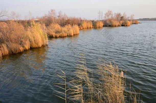 湖姚泉采用全球的地质公园采用五大连池采用北方的Ch采用a