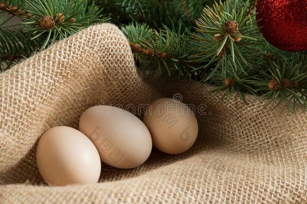 鸡卵向老的亚麻布粗麻布说谎在下面指已提到的人圣诞节布兰克