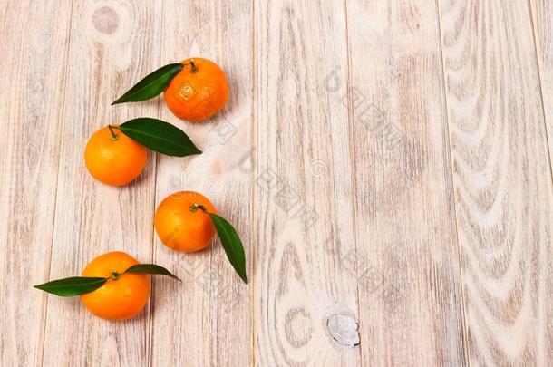 橘子曼达林,克莱门氏小柑橘,柑橘属果树成果和树叶on-vehicleequipment车上装备