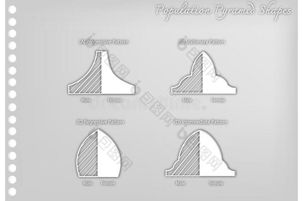 纸艺术关于num.四类型关于人口金字塔