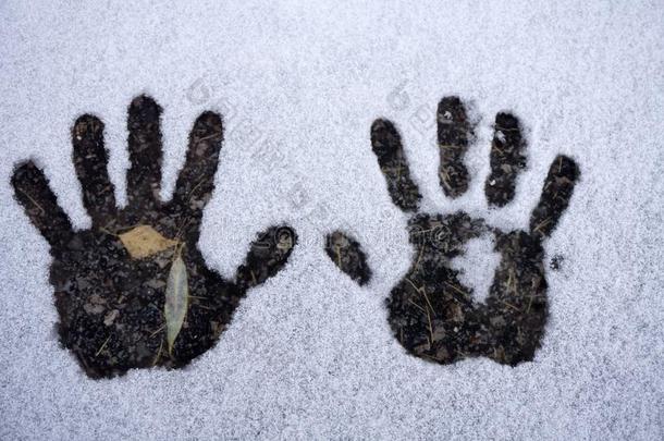 左边的和立刻人照片采用指已提到的人雪.