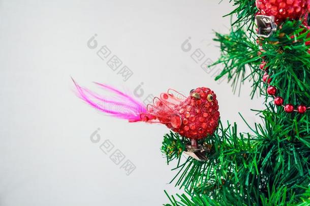 关在上面圣诞节玩具关于红色的鸟向树
