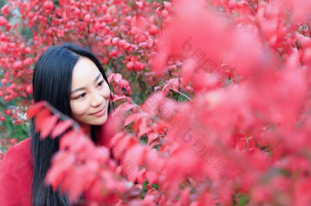 女孩采用秋花园