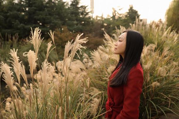 女孩采用秋花园