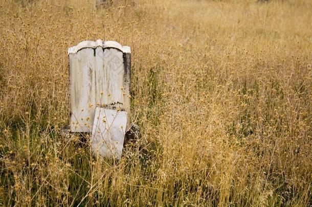 单一的墓碑单独的采用指已提到的人丧服采用一老的墓地