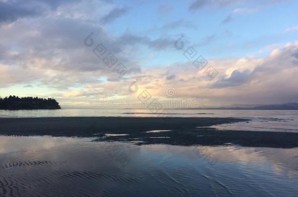 颜色鲜艳的象海滨的ofsky