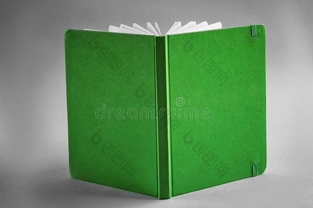 空白的绿色的笔记簿