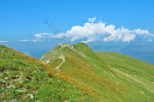 一狭隘的小路路小路在山腰出行在上面大约一顶英语字母表的第15个字母