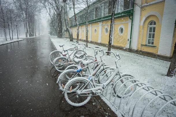 自行车平滑地大量的和新鲜的雪后的天气现象