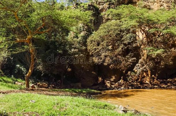 美丽的风景和河在♪奈瓦希♪,肯尼亚