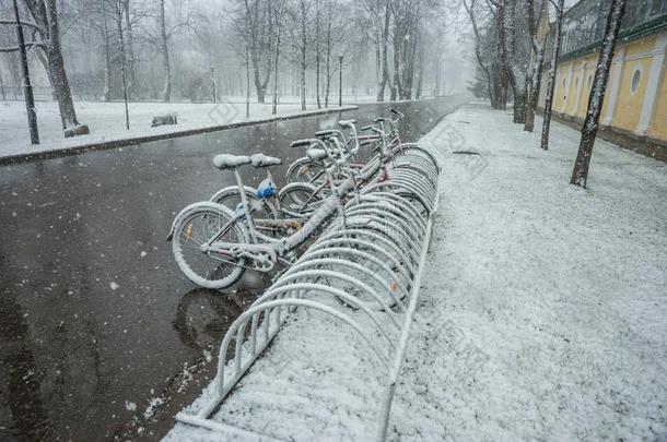 自行车平滑地大量的和新鲜的雪后的天气现象