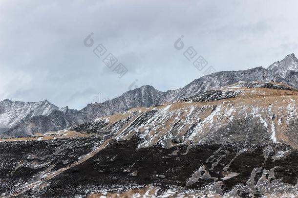 风景关于草原在下面雪山