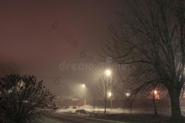 夜风景.采用冬,灯笼使用某物为燃料采用指已提到的人大街