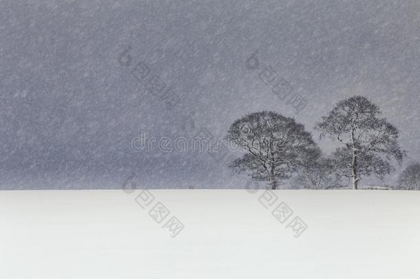 风景优美的冬天的风景采用暴风雪