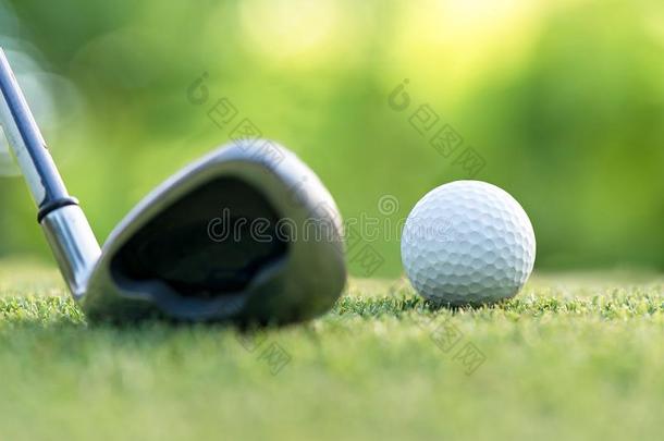 高尔夫球俱乐部打高尔夫球球一起航路朝绿色的和警察