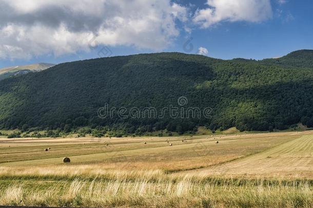 山风景采用阿布鲁齐在夏