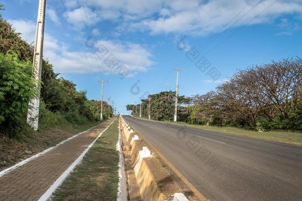 巴西苏木巴西-363路-费尔南多Ferdinand的西班牙语变体demand需要人名,棘云实红木,巴西苏木