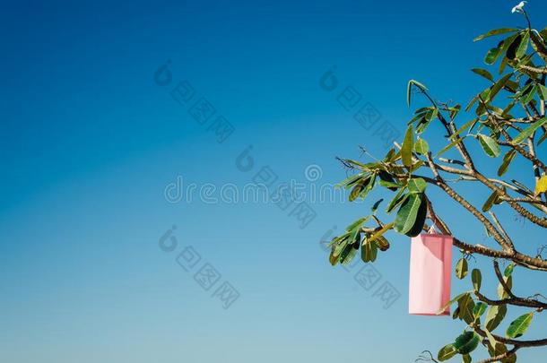 织物灯笼向梅花树