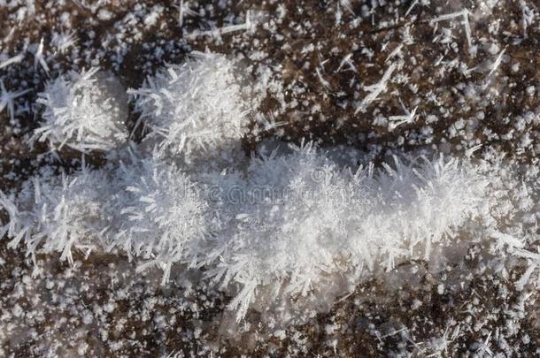 冬,霜,雪,背景,使结冰霜,白色的,自然,冰,