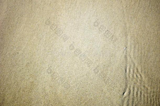 清楚的水波浪向指已提到的人海滩,沙背景
