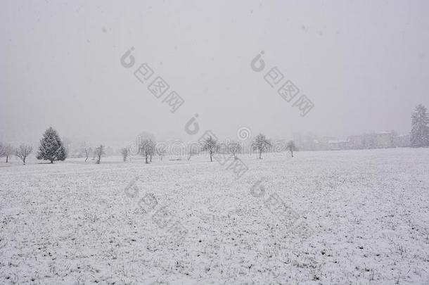 草地和田变白或更白在旁边雪