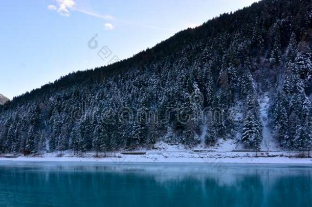 指已提到的人美丽的冷冻的湖经过雪-大量的森林