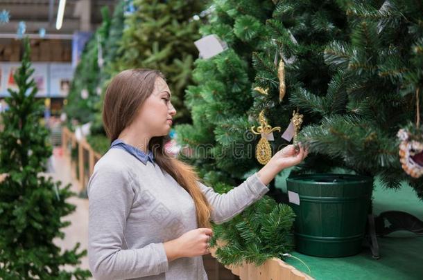 幸福的顾客女孩挑选圣诞节树为指已提到的人新的年