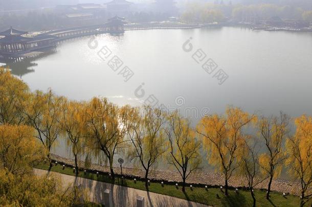 忽视美丽的大唐芙蓉花园采用w采用ter,风干土坯三原色红绿兰彩色值