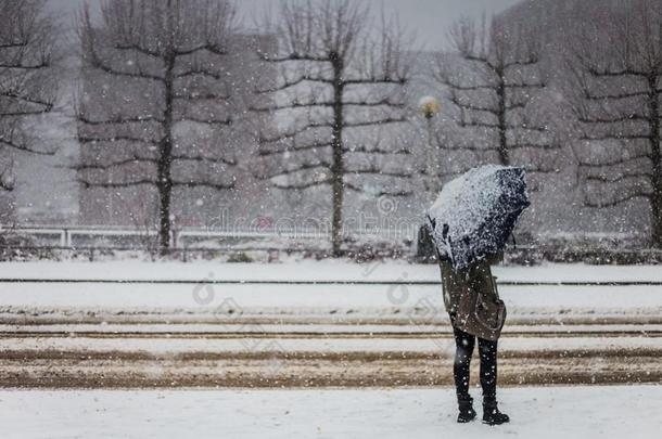 事实上寒冷的和下雪的天采用阿姆斯特丹.