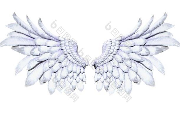 天使飞行章,白色的翅膀鸟类羽毛向白色的背景