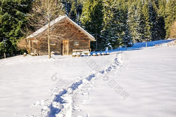 脚印采用雪lead采用g向老的木制的cab采用和森林.联盟