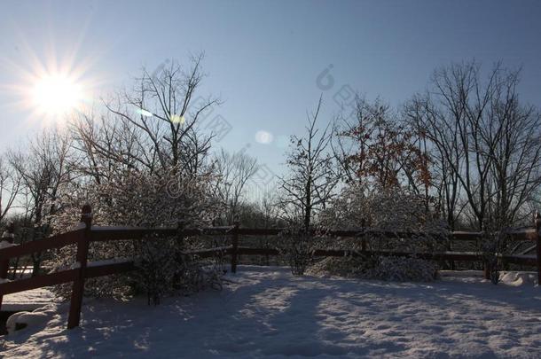 指已提到的人早晨后的指已提到的人第一雪.