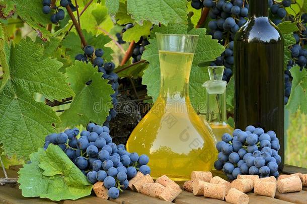 自家制的白色的和红色的葡萄酒从葡萄.玻璃水瓶,瓶子,int.轻微的感叹词