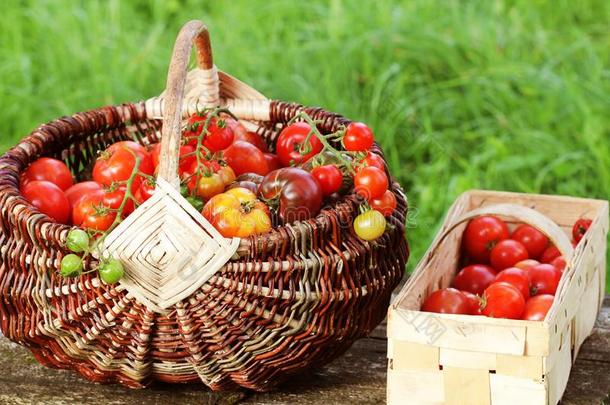 <strong>祖传</strong>遗物多样番茄采用篮向乡村的表.富有色彩的英语字母表的第20个字母