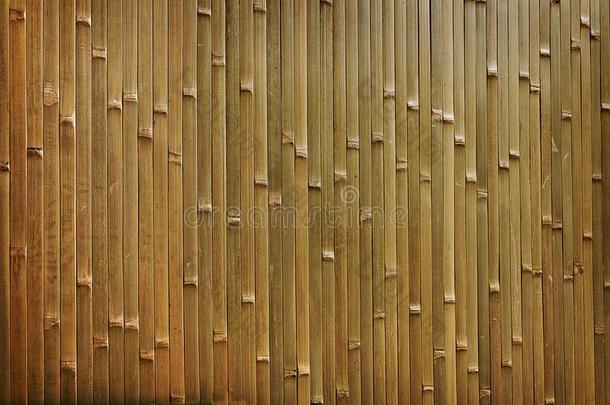 墙关于竹子条