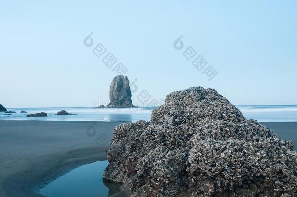 海浪在黎明在大炮海滩俄勒冈州