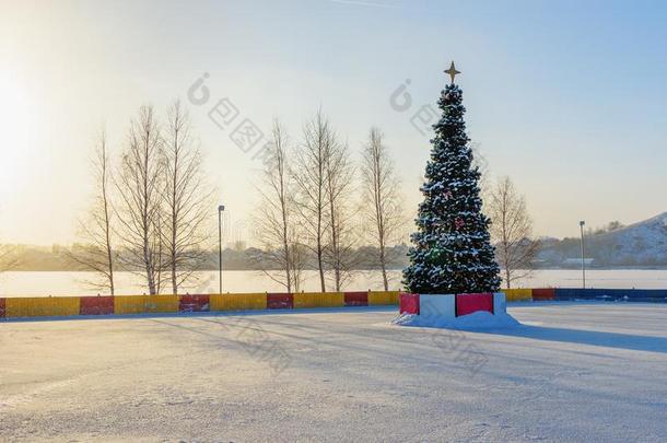 圣诞节树向冬<strong>溜冰溜冰</strong>场