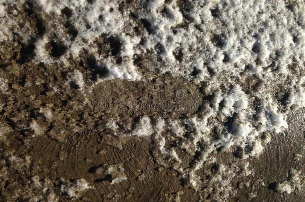 雪,泥和小的脚步