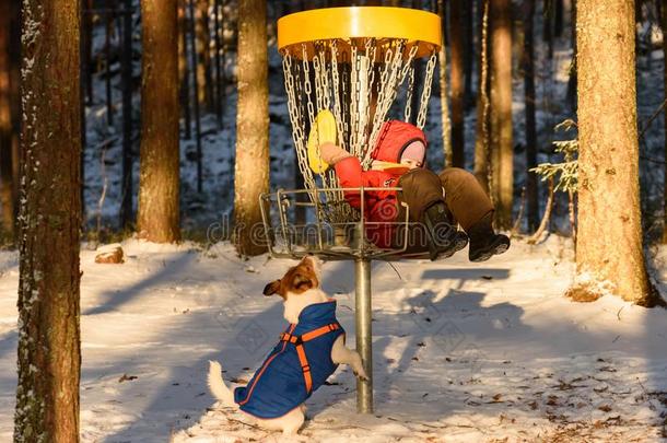 小的小孩演奏和塑料制品磁盘和宠物狗在圆盘高尔夫球标准