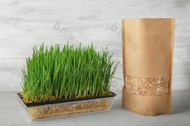发芽和小麦草和种子采用纸包装