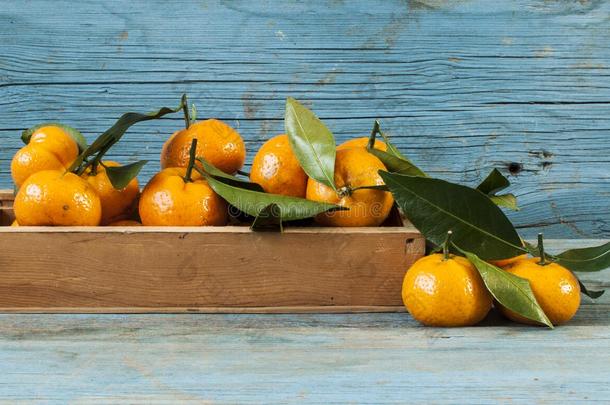 新鲜的橘子采用一老的盒和树叶