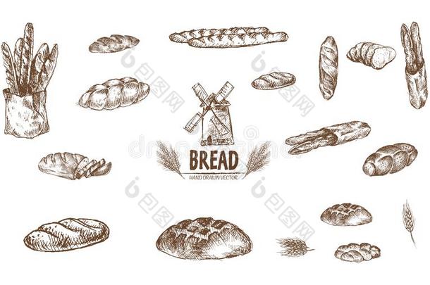 数字的详细的线条艺术烘烤制作的面包