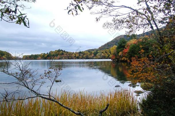 富有色彩的森林在指已提到的人湖边采用秋.
