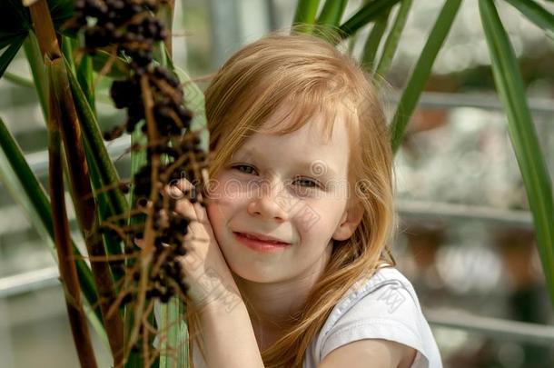 肖像,小的女孩num.七年,一次紧接在后的手掌树