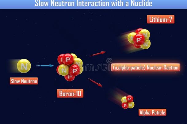 慢的中子一起活动和一核素