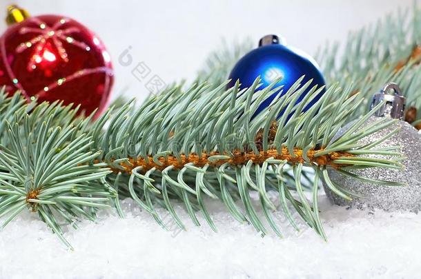圣诞节招呼和圣诞节卡片.树枝关于白色的松树和