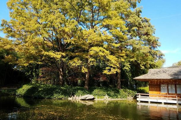 堡垒值得的日本人花园茶水房屋