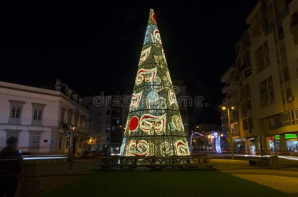 大的圣诞节树采用菲罗城市