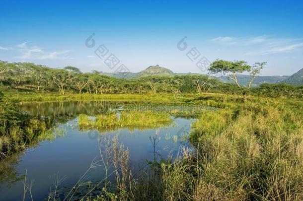 德拉肯斯堡山脉山风景<strong>水洞</strong>早晨